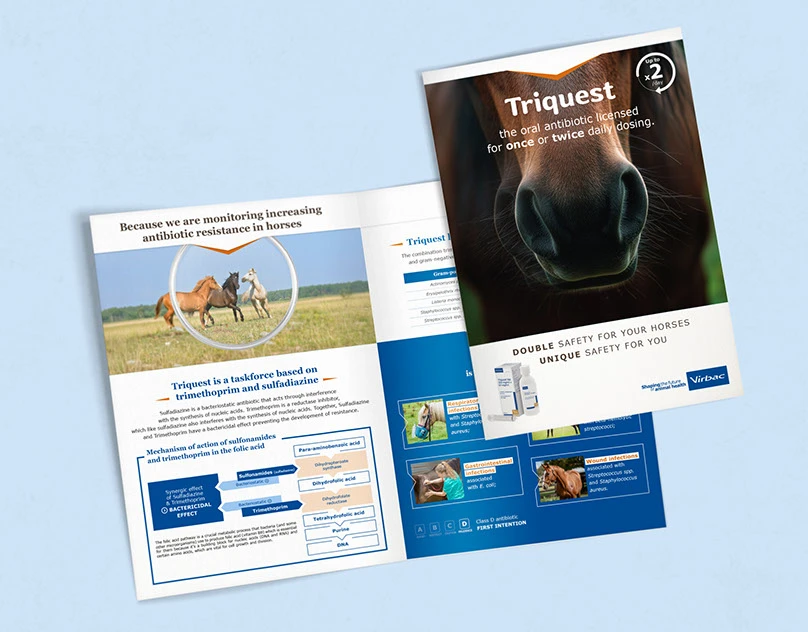 Brochure Virbac — projet 10H10 Studio